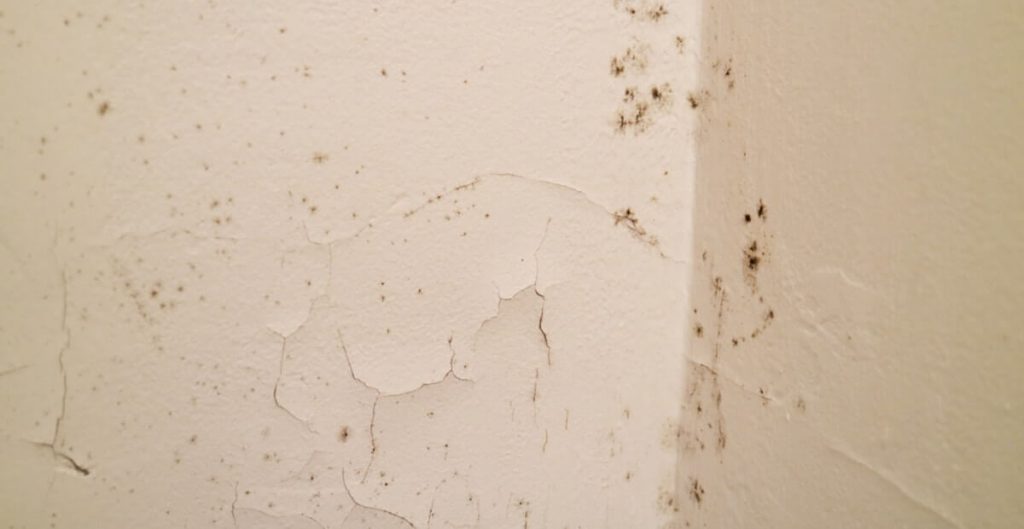 Humidité au sous-sol: quoi faire et pourquoi