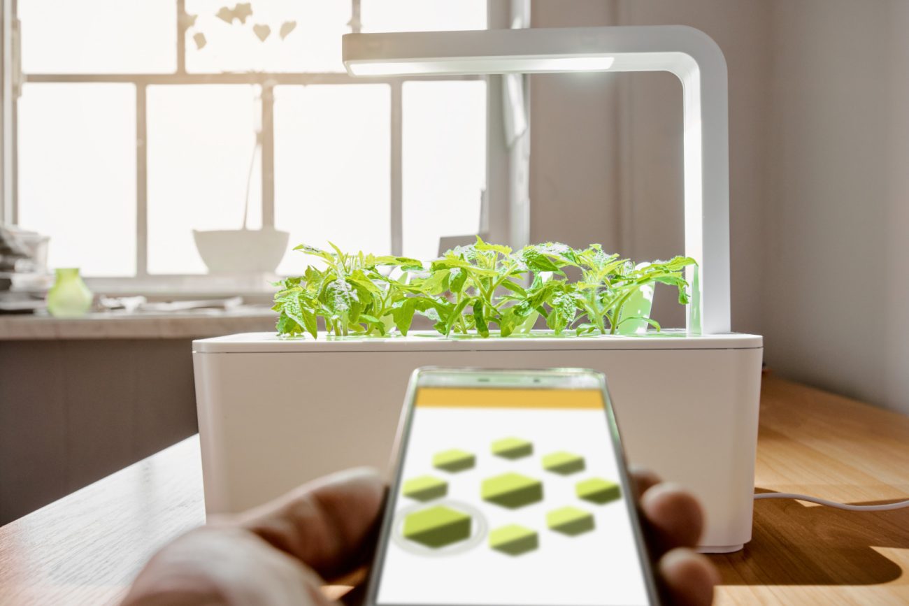 Controlling plant growth with a smartphone