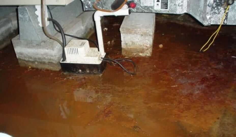 brown water problem