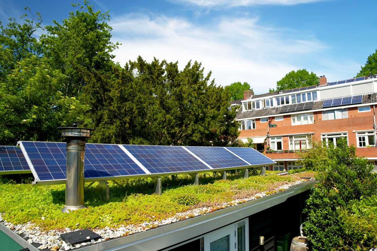 Solar panels on a green flat roof with flowering sedum plants
