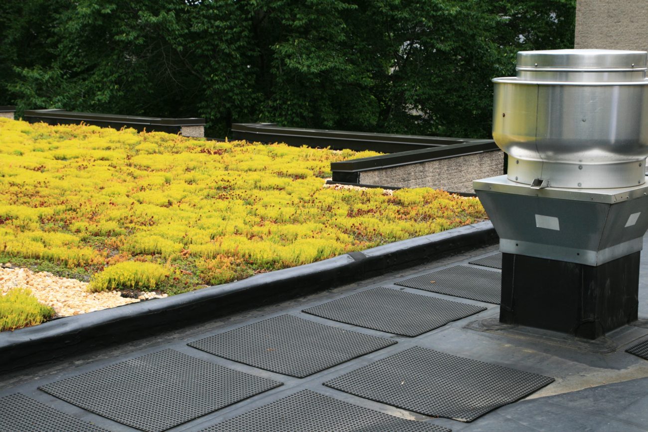 Green flat roof with vent system