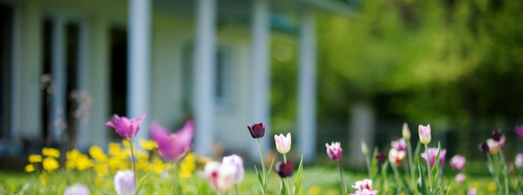 Preparing your Home for Spring: What to Check