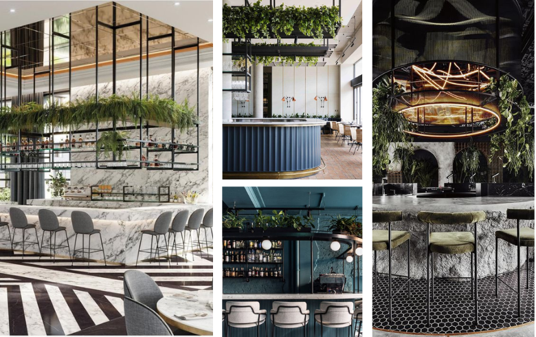 decorative hanging shelving with plants in modern restaurant