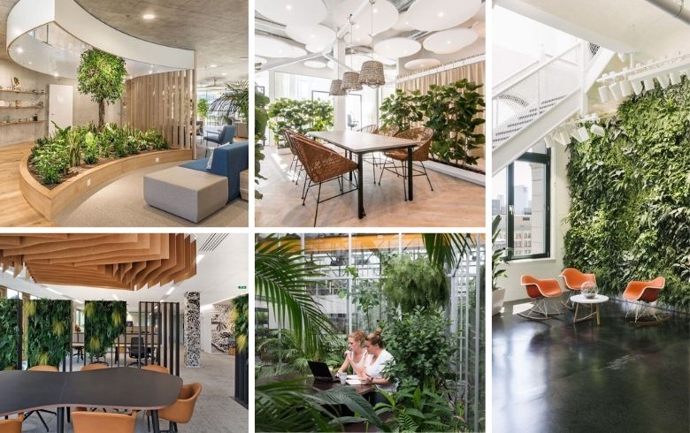 Bright offices with indoor garden