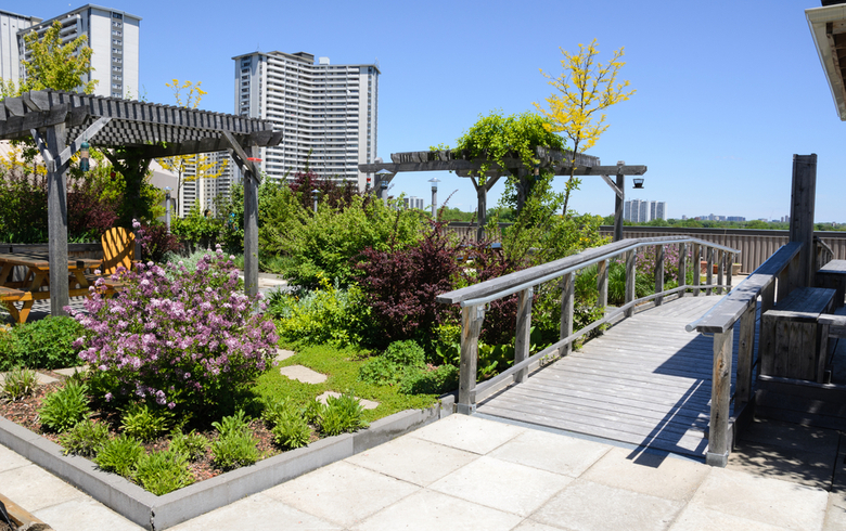 urban roof with garden and cement path and footbridge