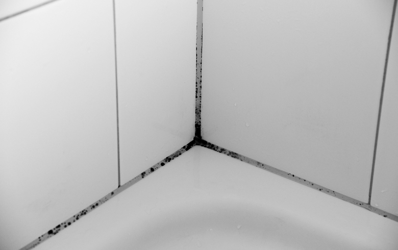 moisissure de coulis au coin d'un bain dans une salle de bain