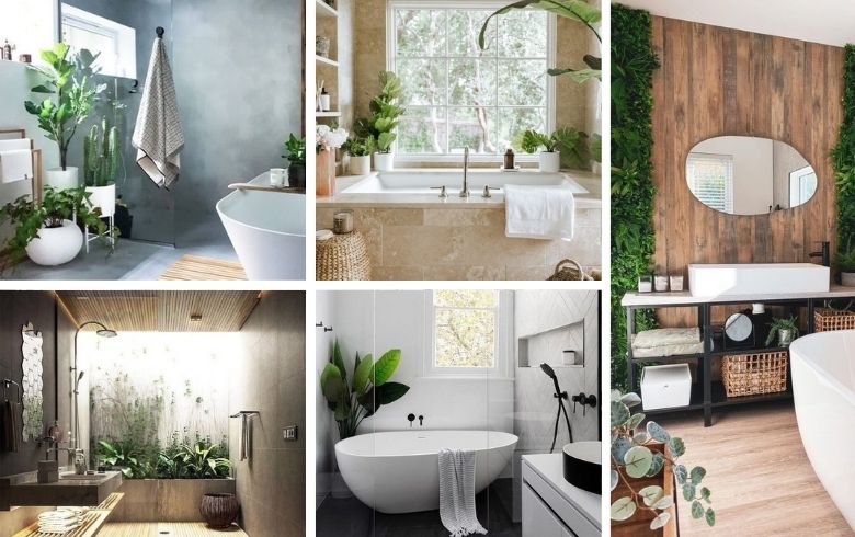 salle de bain sereine décorée avec des plantes