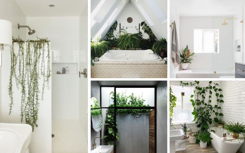 salles de bains lumineuses avec de nombreuses plantes en pot