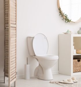 Article-guide-renovation-toilette-2-pieces
