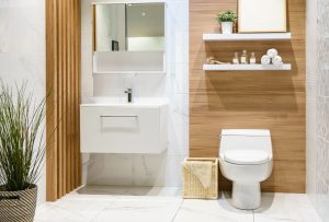 Article-guide-renovation-toilette-monopiece