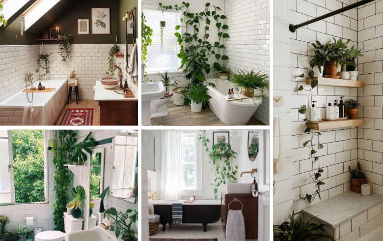 Hanging plants in bathroom shower and tub