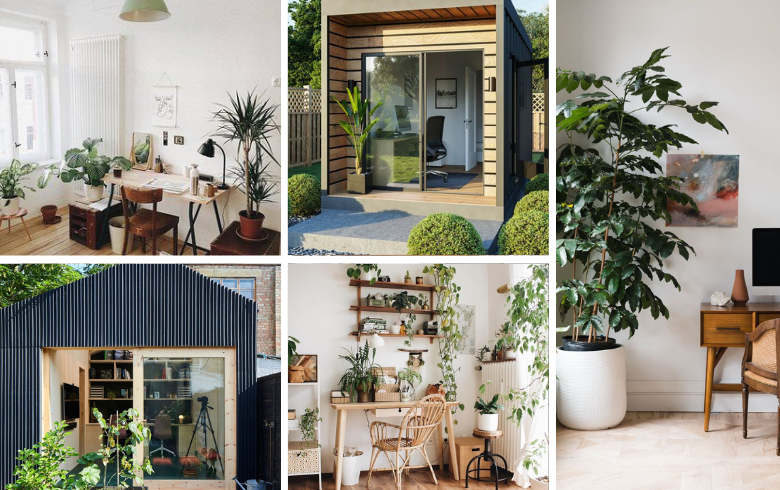 Bureaux de jardin et plantes en pot pour bureau à domicile