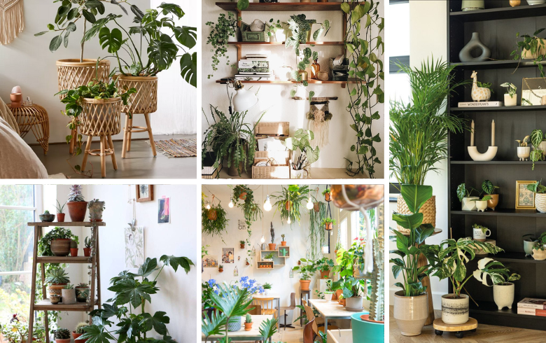 How do you style a room with plants 2