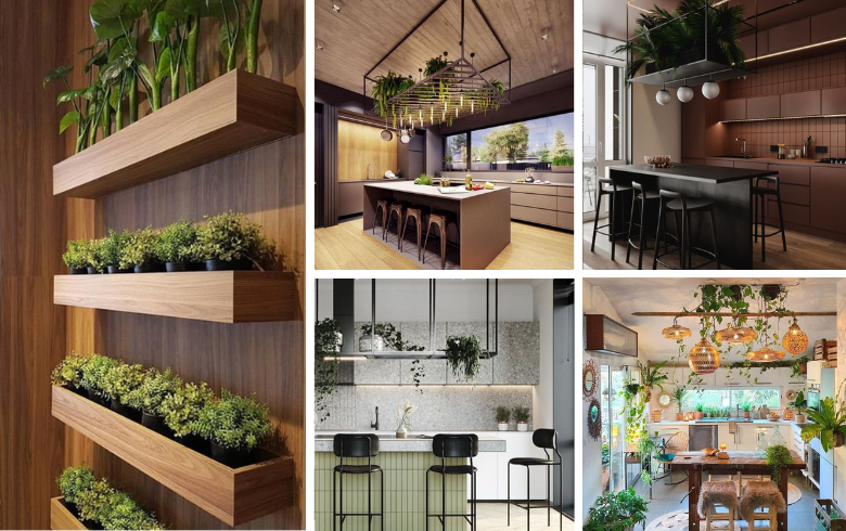 Suspended plants and herb shelves in kitchen