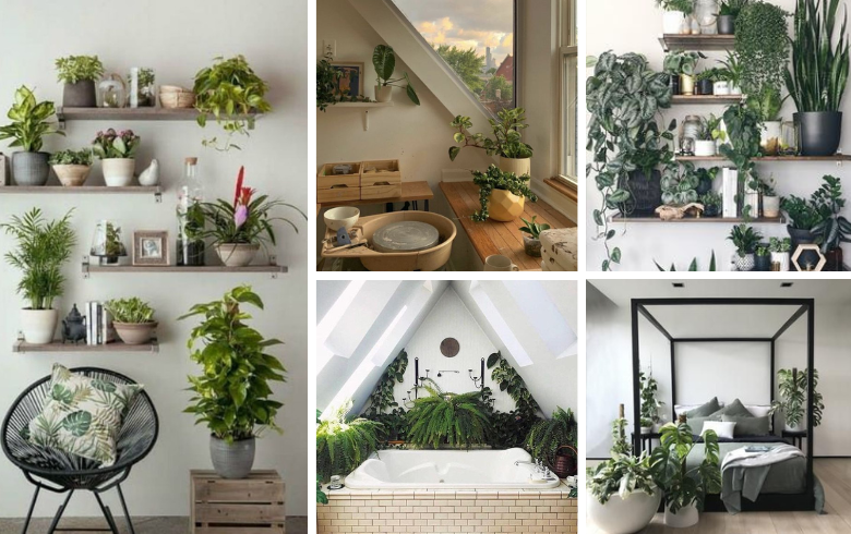Plant room layouts and designs with shelves and stylish pots
