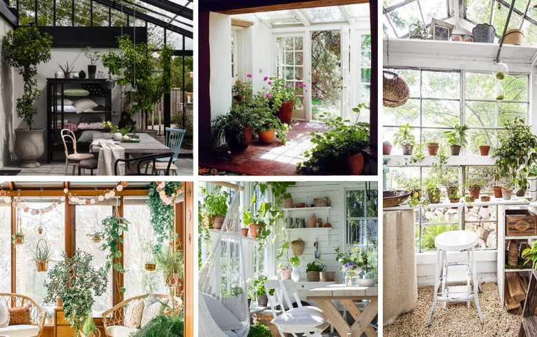 Solariums with hanging greenery and potted plants
