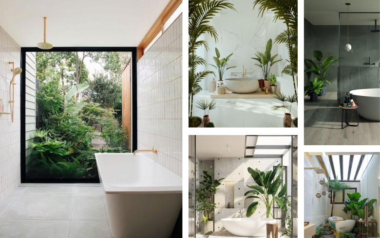 Salles de bain modernes avec plantes en pot