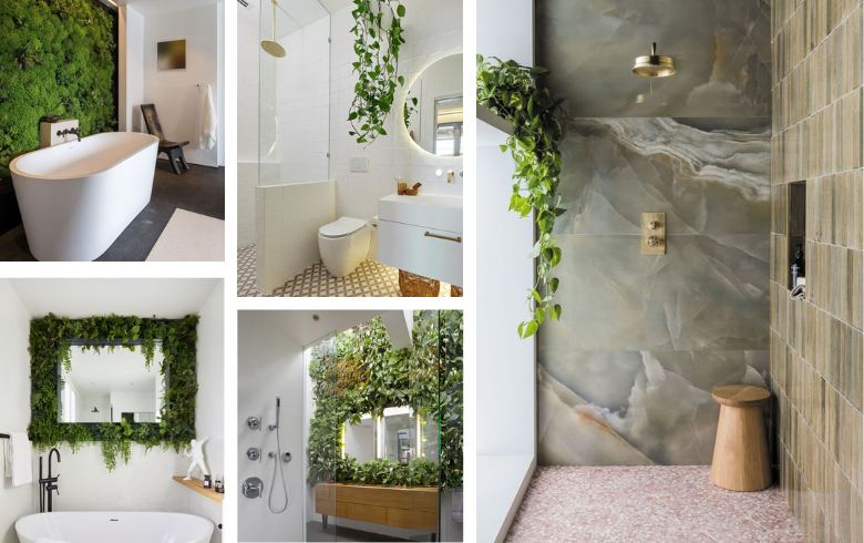 Mur végétal et plantes en pot dans salles de bain