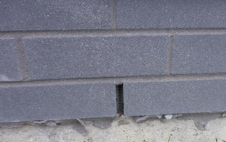 small opening between bricks on wall