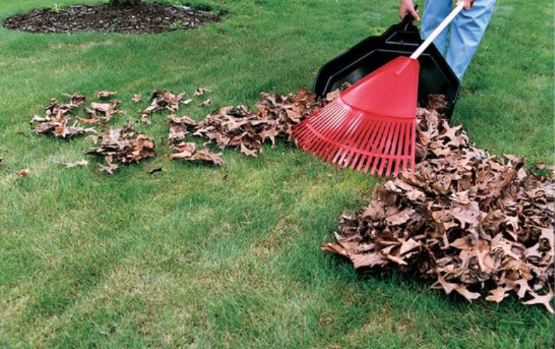 person cleaning leaves in front of yard