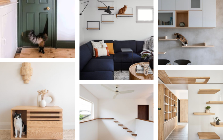 This year's interior home design trends include having steps on walls, built-in litter boxes, and cat doors