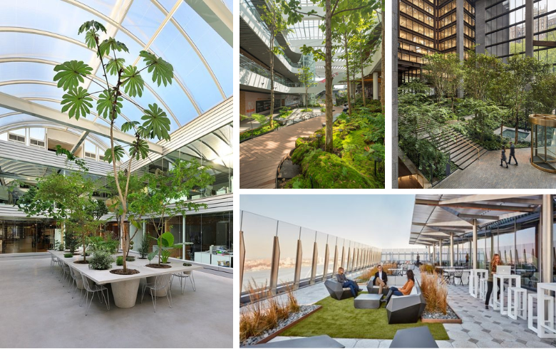 bureaux avec arbres intérieurs et verdure pour design durable et espace détente sur toit