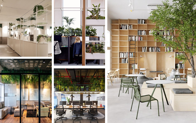 trendy office with hanging plants and tree in cafeteria