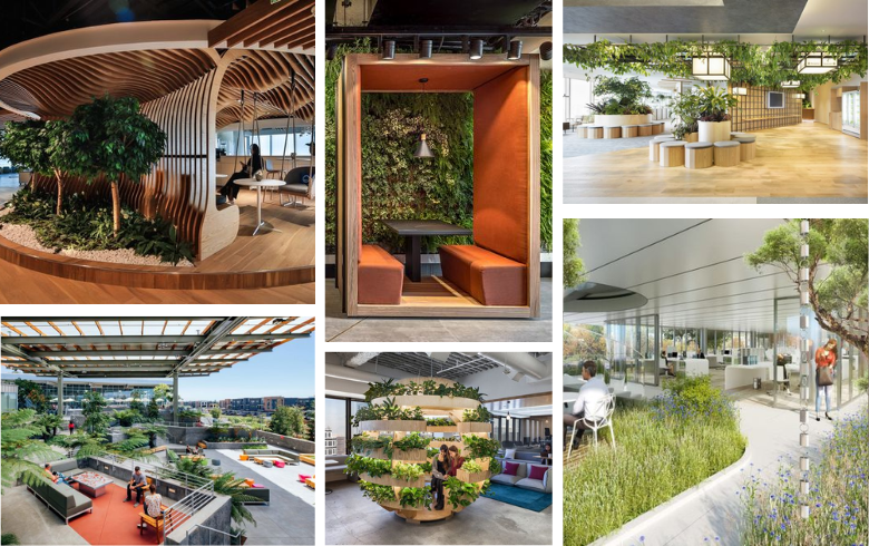tendance bureau de design durable avec plantes et meubles faits de matériaux recyclés