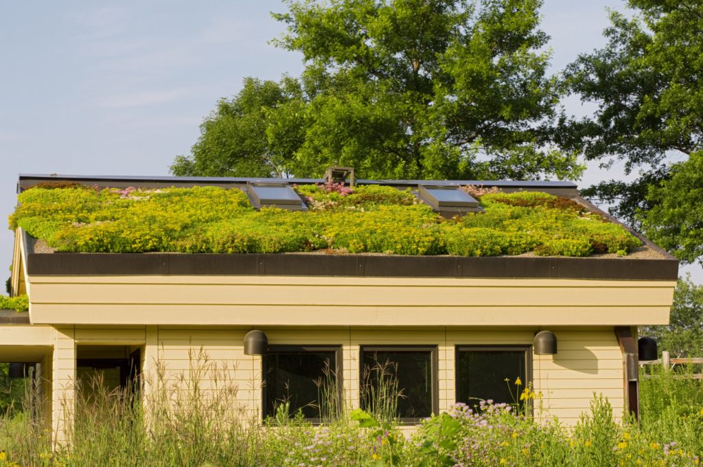 Créer un avenir durable grâce aux toits verts