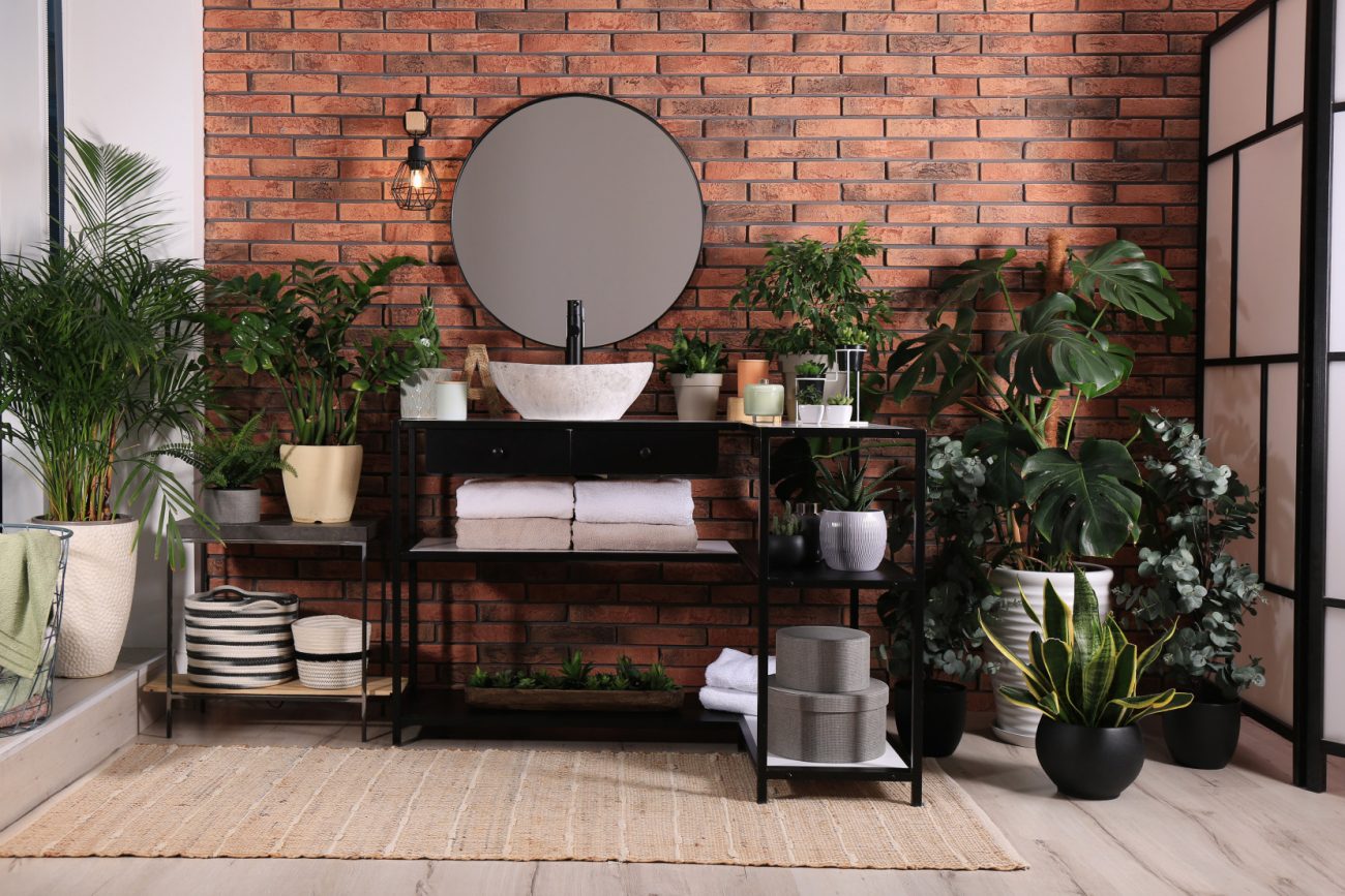 Stylish bathroom interior with brick wall with black vanity shelves and plants