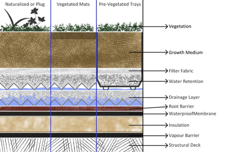 the layers found in different green roof systems