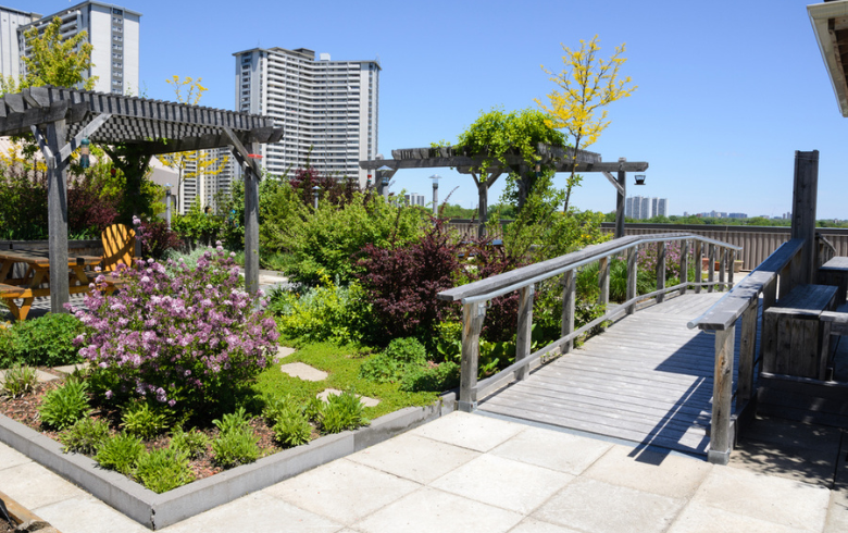 green roof with biodiversity, seating areas, and wood bridge